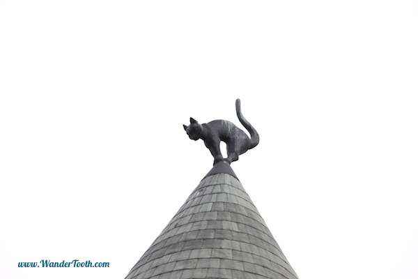 cat-lettonia-