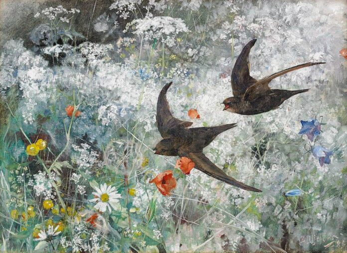 meli-Swifts, 1886 by Bruno Liljefors