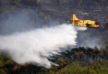 Οι δασικές πυρκαγιές στο Οντάριο και η βοήθεια στην Παλαιστίνη