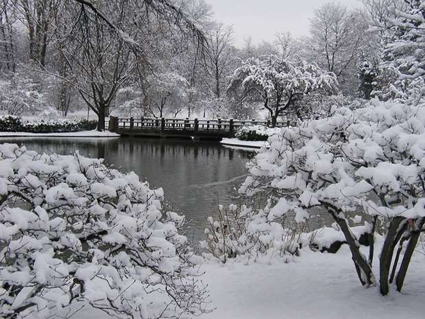 snow-1